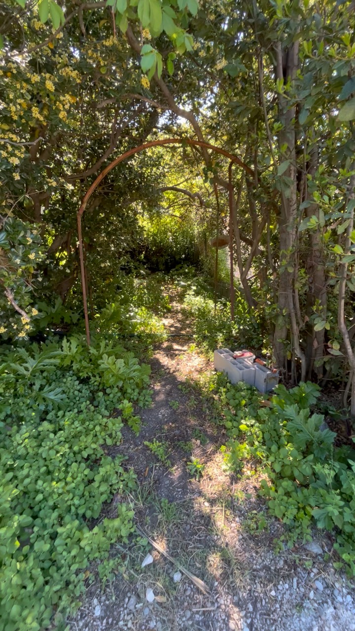 Chantier Roucas - Photo 77